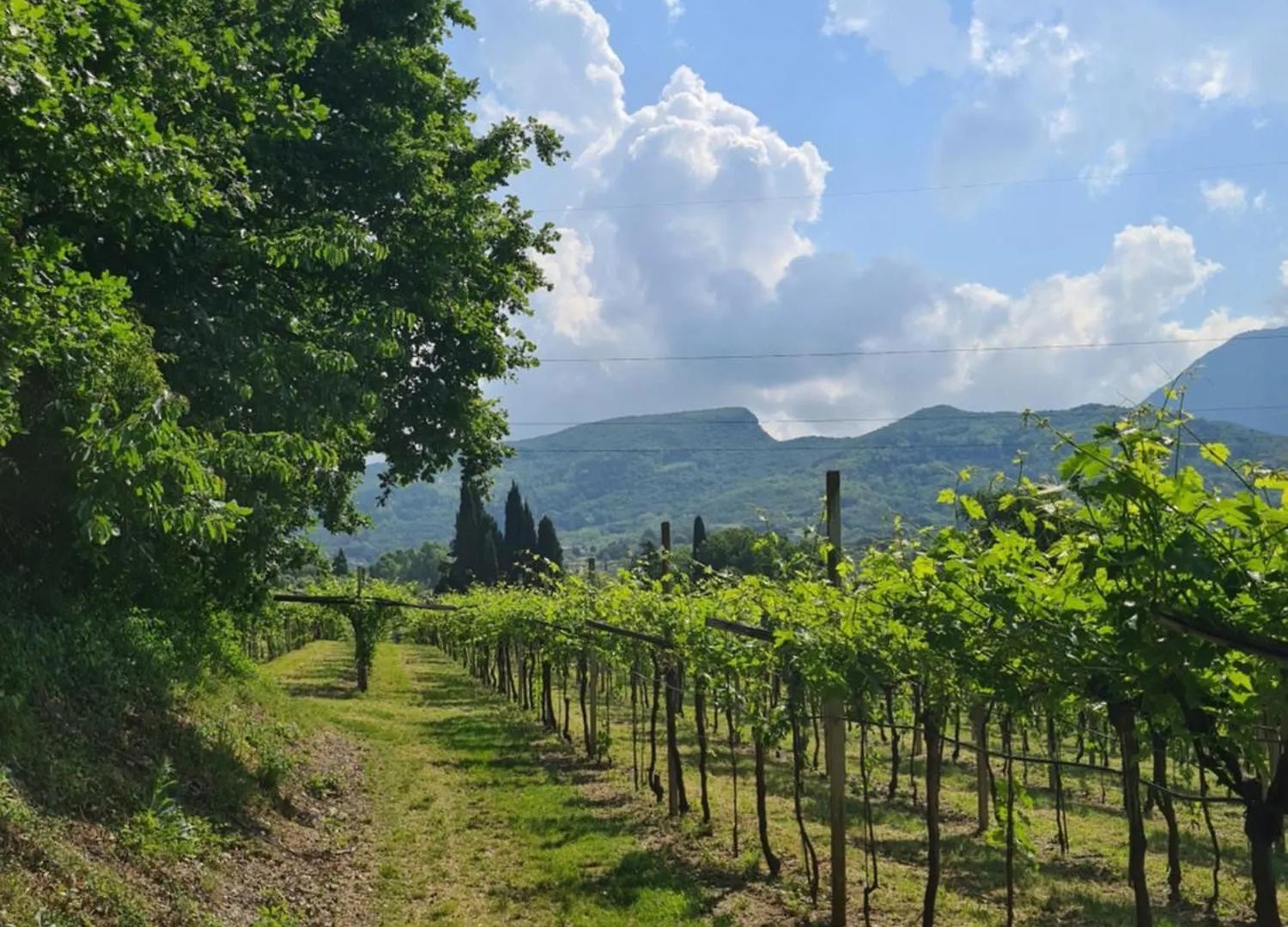 Gardazen Suites - Luxury - Adults Only Caprino Veronese